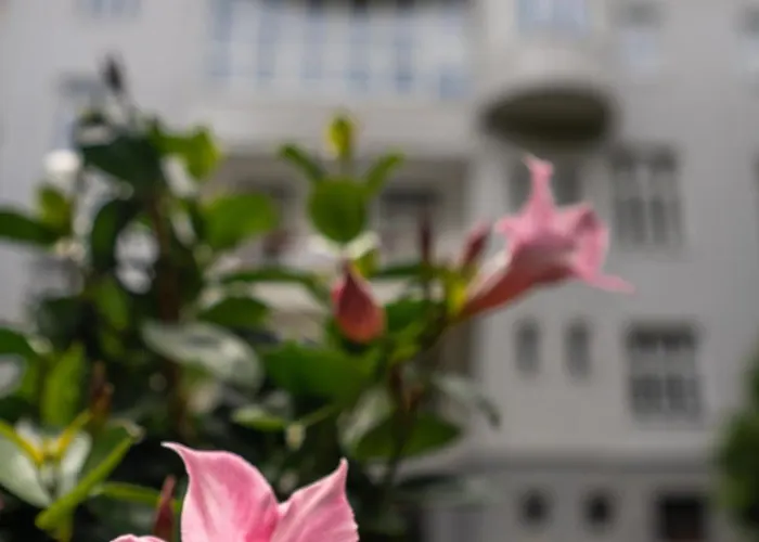 Arcus Garden Hotel 3*