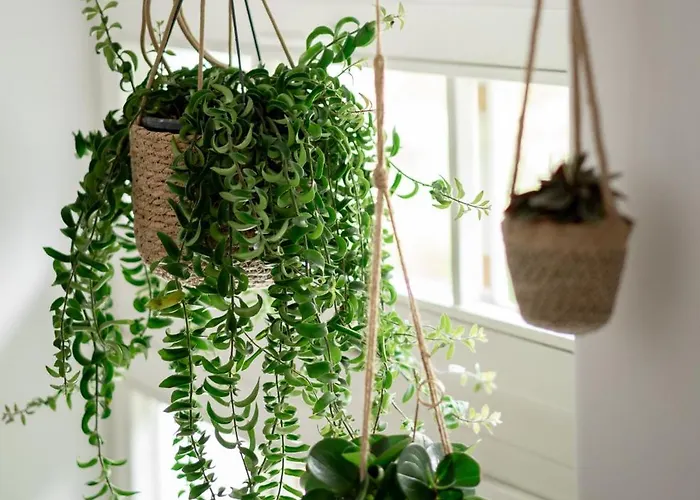 Arcus Garden Отель