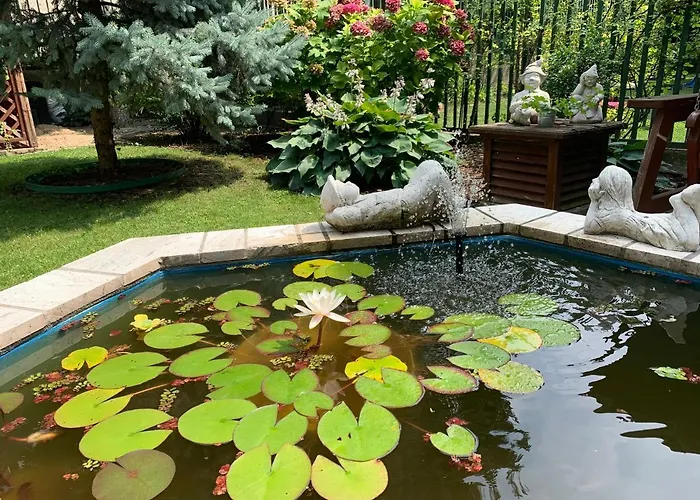 Arcus Garden Отель